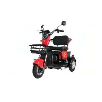 Электротрицикл IKINGI 115k